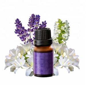 Venta Directa fragancia <span class=keywords><strong>ginseng</strong></span> y té verde aceite esencial - Product Image 4