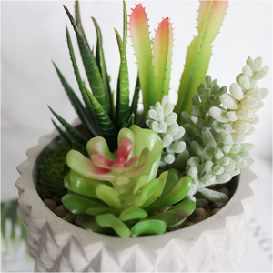 Vasi in Cemento Cilindrici Ecologici <span class=keywords><strong>e</strong></span> Durevoli per <span class=keywords><strong>Cactus</strong></span> <span class=keywords><strong>e</strong></span> Piante <span class=keywords><strong>Succulente</strong></span>, Confezione in Cartone, Vendita all'Ingrosso - Product Image 2