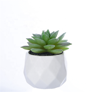 Commercio all'ingrosso del produttore di vendita calda in vaso DIY <span class=keywords><strong>Mini</strong></span> artificiale succulenta con la pentola per la vendita - Product Image 5