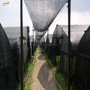 Rentable verde red net gruesa <span class=keywords><strong>de</strong></span> parasol/ sombra impermeable <span class=keywords><strong>de</strong></span> HDPE anti <span class=keywords><strong>los</strong></span> rayos dañinos para <span class=keywords><strong>la</strong></span> protección a cultivos - Product Image 3