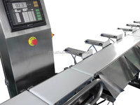 Op maat gemaakte tel- en sorteermachines voor gewicht JZW-6FX