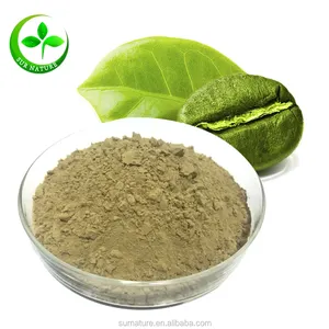 Low price with hot sale for green coffee bean extract 10% 25% 50% Chlorogenic Acid