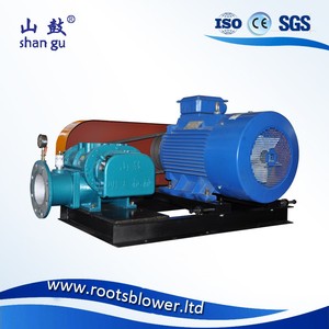 Ventilador Regenerativo Shangu de Alta Presión con Motor de CA, Aspas de Hierro Fundido, Construcción de Hierro Fundido, Diseño Compacto - Product Image 5