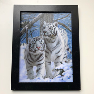 3d tigre <span class=keywords><strong>immagini</strong></span> 3d lenticolare foto tigre bianca - Product Image 2