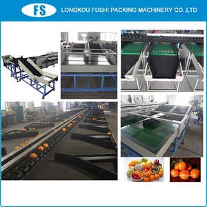 Agrumes Mandarine Lavage de Cire et De Classement De Machine - Product Image 5