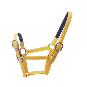 Cabeza de caballo personalizada, productos impermeables de diseñador, de PVC, Halter - Product Image 2