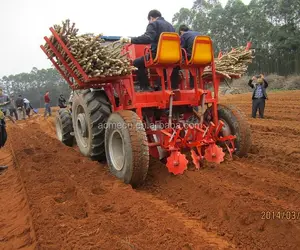 Planteur de manioc pour machine de plantation de graines