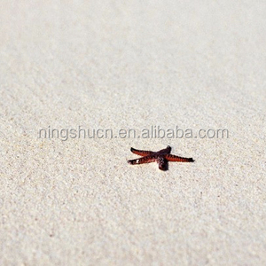 Bulk Cheap natürliche feine farbe <span class=keywords><strong>sand</strong></span> weiß strand <span class=keywords><strong>sand</strong></span> für verkauf - Product Image 5