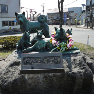 Decoración del jardín de bronce de metal de latón perro <span class=keywords><strong>akita</strong></span> estatua - Product Image 4