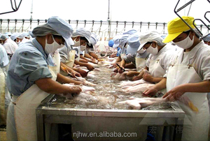 Turnkey Halal Gà Giết <span class=keywords><strong>M</strong></span>ổ Thiết Bị Với Công Suất 1000 Chim <span class=keywords><strong>M</strong></span>ỗi Giờ Hoàn Thành Gia Cầ<span class=keywords><strong>m</strong></span> Giết <span class=keywords><strong>M</strong></span>ổ Dòng - Product Image 4