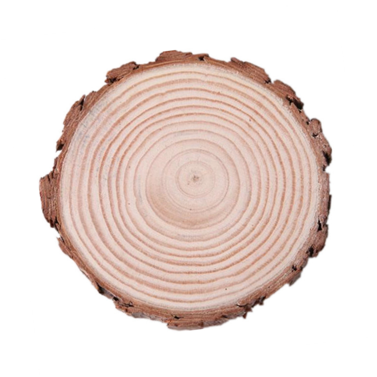 Bulk custom assorted pack pine wood pieces tree branch decorative round large wood slices for art crafts