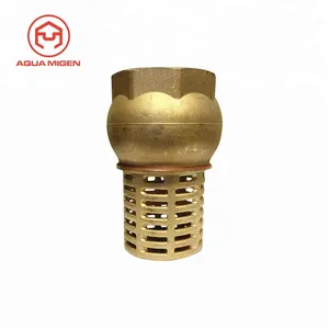 Hot Vertical Brass foot valve SS304 filter Spring Check Valve for Water