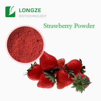 Poudre d'extrait de fruit de fraise Super alimentaire, extrait de jus de fraise naturel en poudre