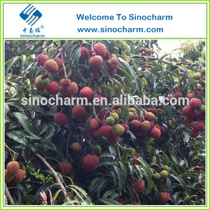 chino congelados de alta calidad <span class=keywords><strong>lichis</strong></span> - Product Image 6