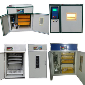 Trứng Gà Trứng Hatch Máy 264 Lồng Ấp Trứng Được Thực Hiện Tại Trung Quốc - Product Image 5