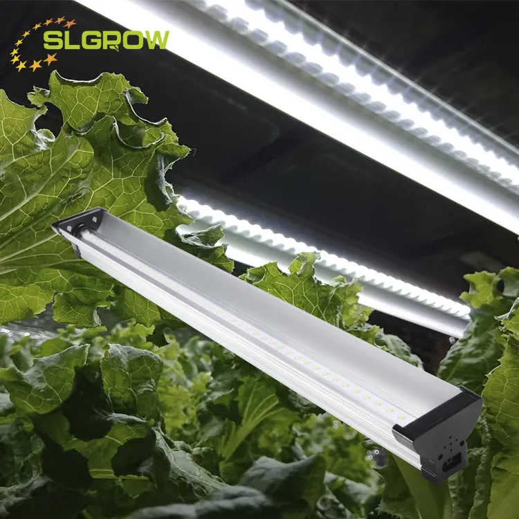 ระบบทำฟาร์มในร่ม,โคมไฟผักกาดหอมไฮโดรโปนิกส์หลอดไฟ LED สำหรับปลูกพืช