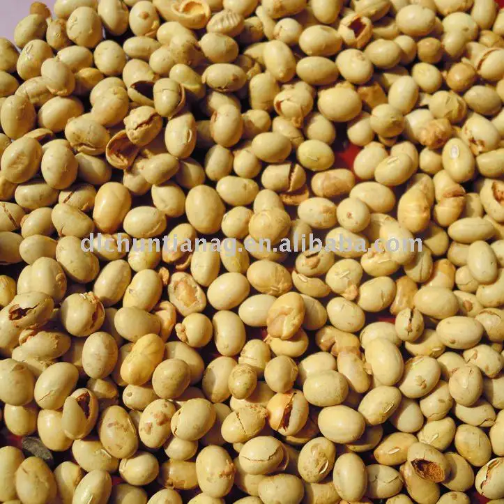 organic roasted soybean