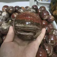 Brillante polaco de árbol Natural Piedra Fósil Esfera de madera fósil bolas para la venta al por mayor