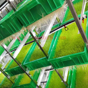 Grande Capacità di 1000 kg Automatico Della Mucca Foraggi Sistema di Alimentazione Per La Coltivazione di Orzo Frumento Mais <span class=keywords><strong>Erba</strong></span> Medica <span class=keywords><strong>Erba</strong></span> - Product Image 2