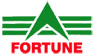 Huaian Fortune International Co., Ltd. logo