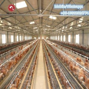 Zenginleştirilmiş koloni sistemi kanatlı tavuk kafesi tavuklar - Product Image 4