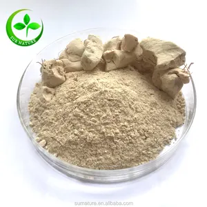 高品质 Baobab 粉末，100% 纯 Baobab 果粉