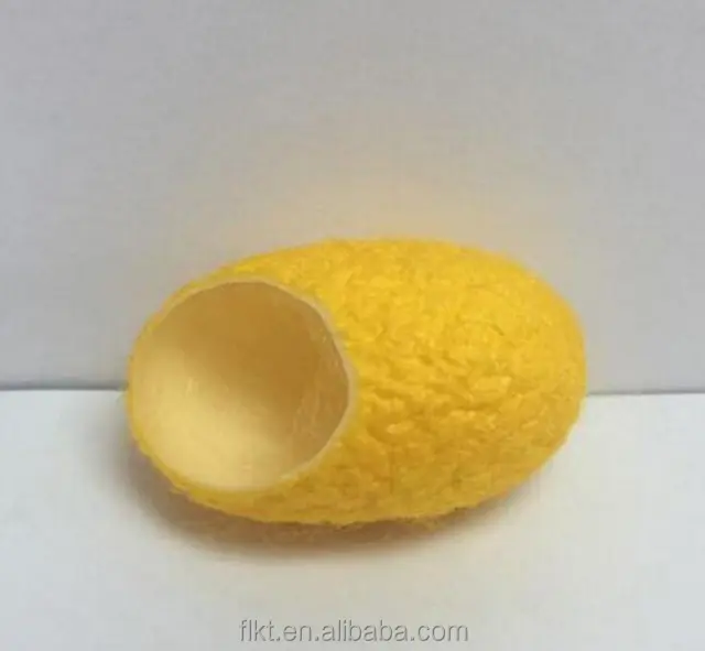 Capullo de seda amarillo dorado para el cuidado de la piel, boca abierta, gusano de seda