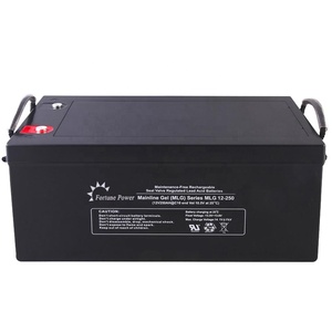 Batterie solaire rechargeable <span class=keywords><strong>Euronet</strong></span> Black Series 12V 250AH, alternative au plomb-acide 250ah pour l'électronique grand public - Product Image 1