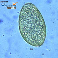 Medical Science Parasitology High Quality Medical Parasitology Prepared Slides 100pcs Microscope Prepared Slides