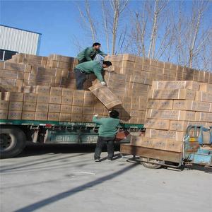 Adult Tracheostomy-care model for use in <span class=keywords><strong>the</strong></span> nurse - Product Image 4