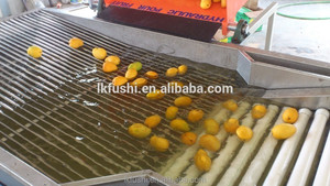 ブルーベリータイプのフルーツ選別機/フルーツ選別機チェリートマト洗浄および洗浄ワックスおよびグレーディングソチン - Product Image 2