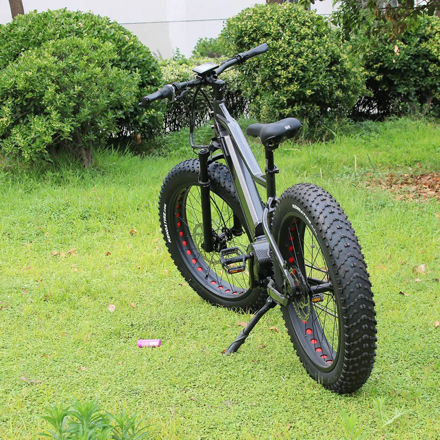 2019 वयस्क वसा टायर पहाड़ Ebike 1000 W Bafang मोटर मध्य ड्राइव बिजली पर्वत बाइक