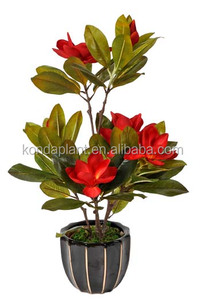 Venta Al Por Mayor de seda artificial de alta imitación <span class=keywords><strong>rododendro</strong></span> flor árbol - Product Image 3