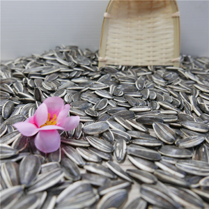 מחיר של חמניות זרעים 363 - Product Image 2