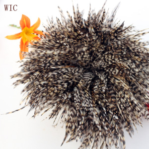 2018 giá rẻ Trung Quốc bán buôn quần áo con gà trống lông đẹp trai chùm lông - Product Image 5