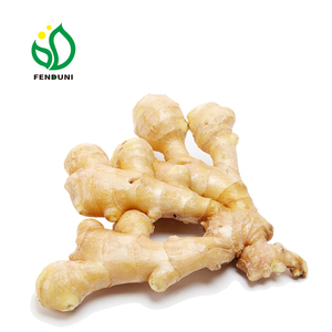 ขิงแดงแห้ง (50 กรัม~200 กรัมขึ้นไป) - Product Image 1