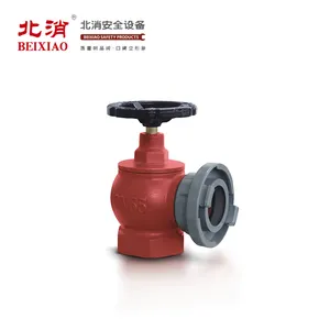 Beixiao Pemadam Kebakaran 65 Mm Diameter Nominal Indoor Fire Hydrant System