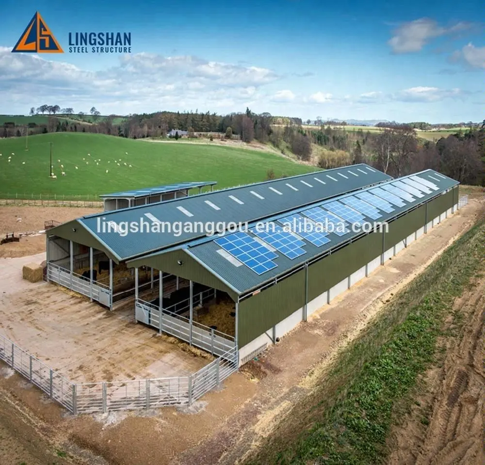 Prefab Metal Steel Construction Sheep Farm Building / House / Shelter / Shed