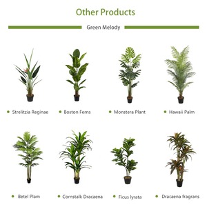 Producto Chino de Calidad, Planta Artificial de Cycas Revoluta, Palmera de Sagú - Product Image 6