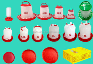 ZH-528 incubateur d'oeufs de poulet <span class=keywords><strong>machine</strong></span> à couver/incubateur d'oeufs de poulet à vendre - Product Image 5