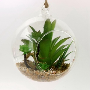 <span class=keywords><strong>Verre</strong></span> <span class=keywords><strong>Suspendue</strong></span> <span class=keywords><strong>Boule</strong></span> Vase Terrarium Conteneur Avec <span class=keywords><strong>Plante</strong></span> Succulente Artificielle Pour La Maison Ou Le Jardin Ornement - Product Image 1