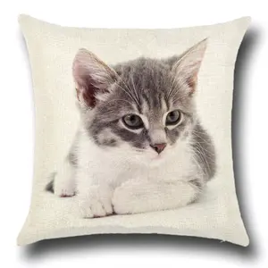 Decoración Para el hogar sofá cojín gato impreso patrón almohada asiento Cojín cuadrado