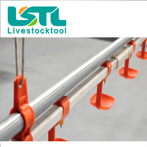 Línea de alimentación de aves de corral, sistema automático de alimentación y bebedero para <span class=keywords><strong>pollos</strong></span> - Product Image 5