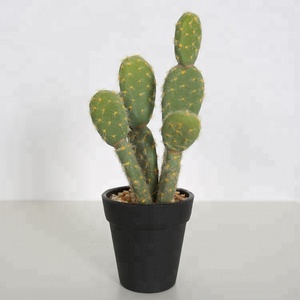 Plante du désert en éponge, <span class=keywords><strong>cactus</strong></span> artificiel en plastique fait à la main, Opuntia, décoration de meubles, <span class=keywords><strong>cactus</strong></span> décoratif de 23 cm - Product Image 1