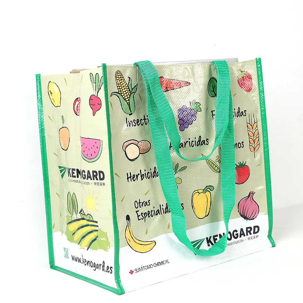 Snelle Levering <span class=keywords><strong>pp</strong></span> <span class=keywords><strong>geweven</strong></span> glossy <span class=keywords><strong>gelamineerd</strong></span> bag tote boodschappen