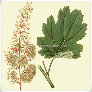 Extrait de <span class=keywords><strong>Macleaya</strong></span> Cordata de haute qualité naturel GMP, poudre fine de qualité alimentaire, CAS 2447-54-3, Sanguinarine, Chelerythrine, testé par HPLC - Product Image 3