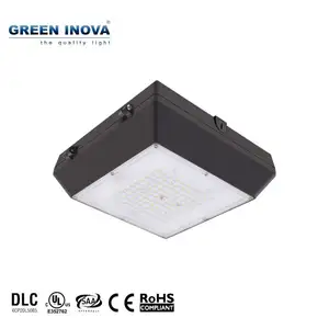 New Hot Selling 6 Jahre IP65 cUL DLC CE 30w LED Low Profile Baldachin Licht