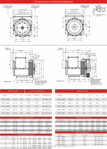 STF trifásico síncrono de CA <span class=keywords><strong>alternador</strong></span> sin cepillo 220 V 18kw - Product Image 2