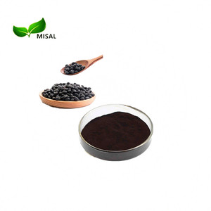 핫 세일 에너지 보충 검은 콩 추출물/검은 콩 분말 - Product Image 1