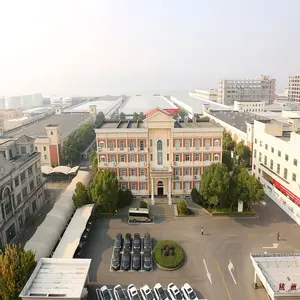 SYNEY, China Profession eller, zuverlässiger Rolltreppen-und Aufzugs hersteller